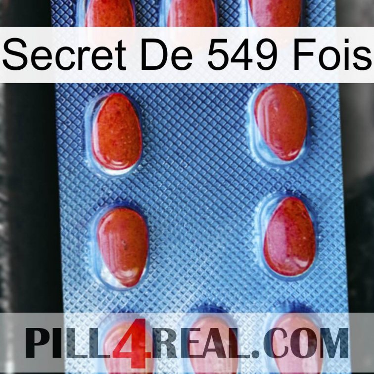 Secret Of 549 Times 06